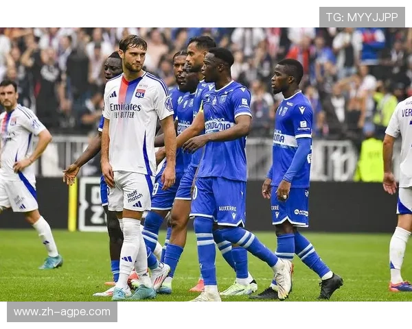 法甲防线稳定性及防守策略深度研究