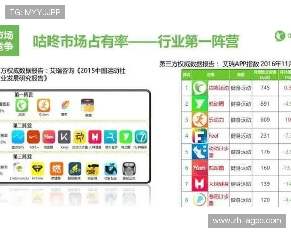 高端健身器械价格定位策略与市场接受度分析